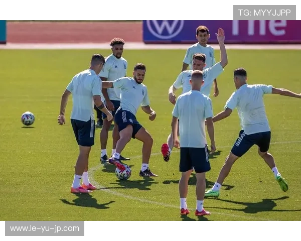 雷纳回归西班牙队：经验丰富的门将再度肩负重任