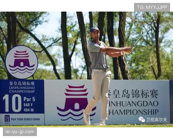 布莱顿防线近期表现稳健，防守数据持续提升